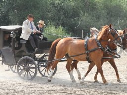 IMG_1199_web